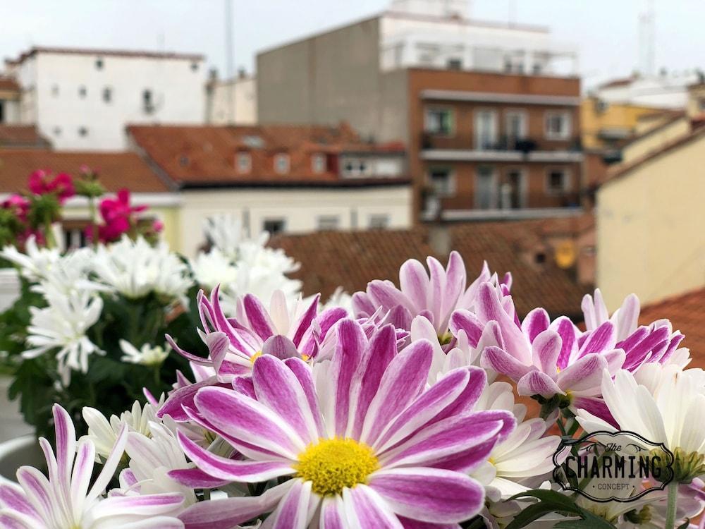 Charming Oasis In The Centre Of Apartamento Madrid