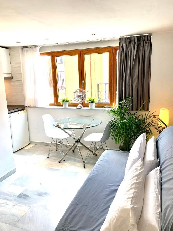 Por Temporada En Puerta Del Sol Apartamento Madri
