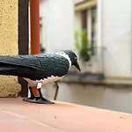 Disfruta Del Barrio De Las Letras Tu Segundo Hogar En Madrid