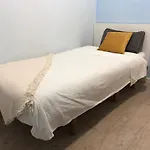 Chinchilla 1