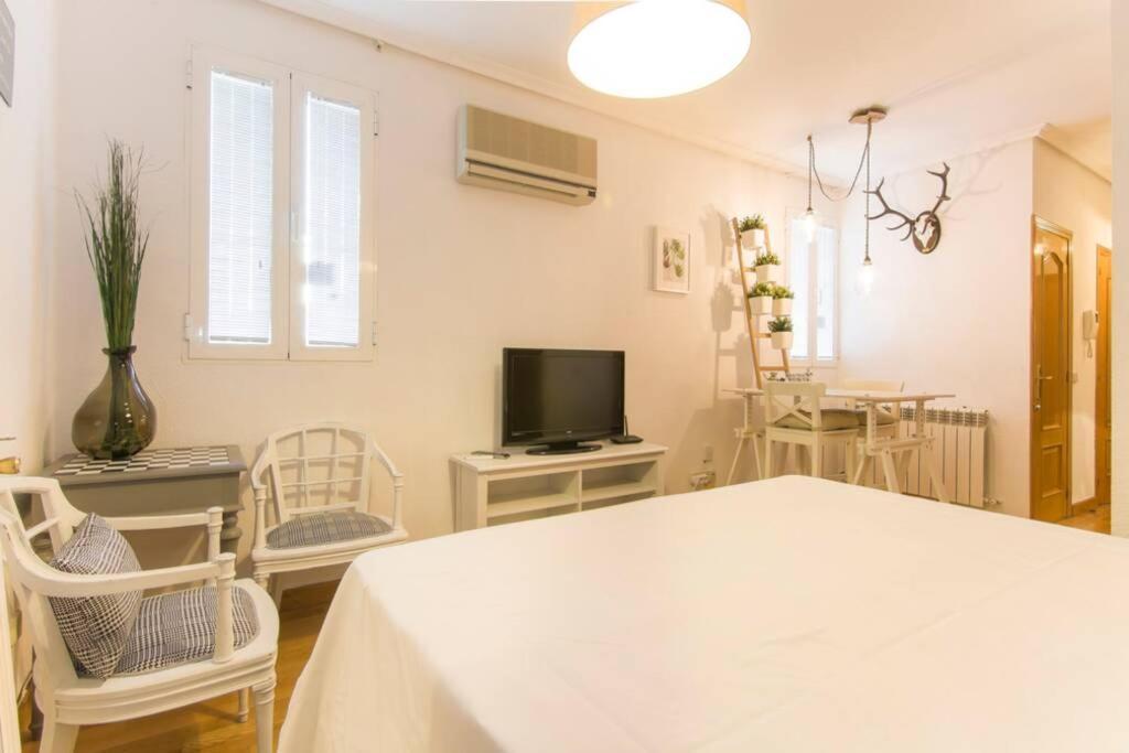 Apartamento Comodo Y Centrico Estudio De Lujo En Atocha - Jardin Botanico. Wifi *