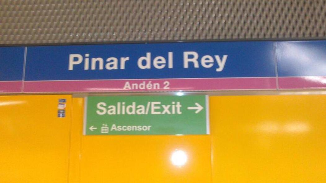 Dolphin Pinar Del Rey *