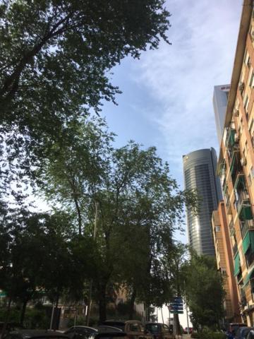 Apartment Plaza Castilla Madrid