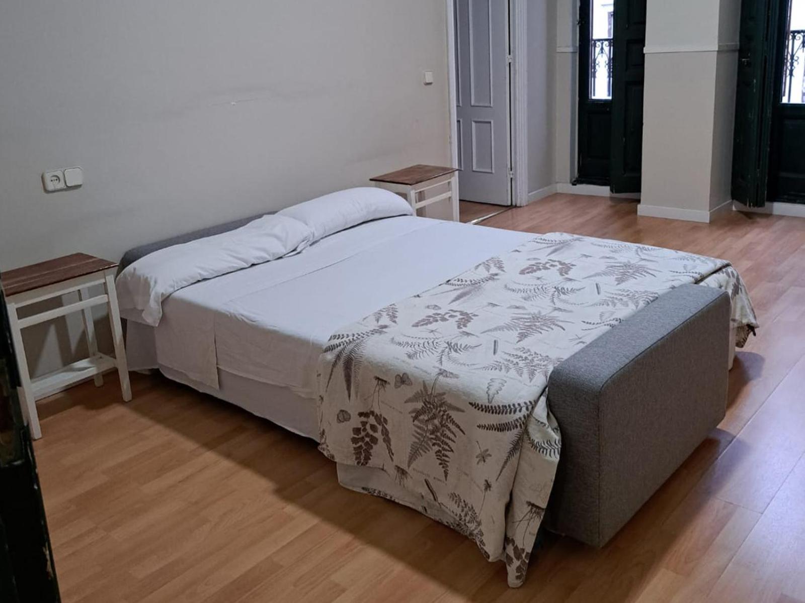 Apartment Mayor Centro *