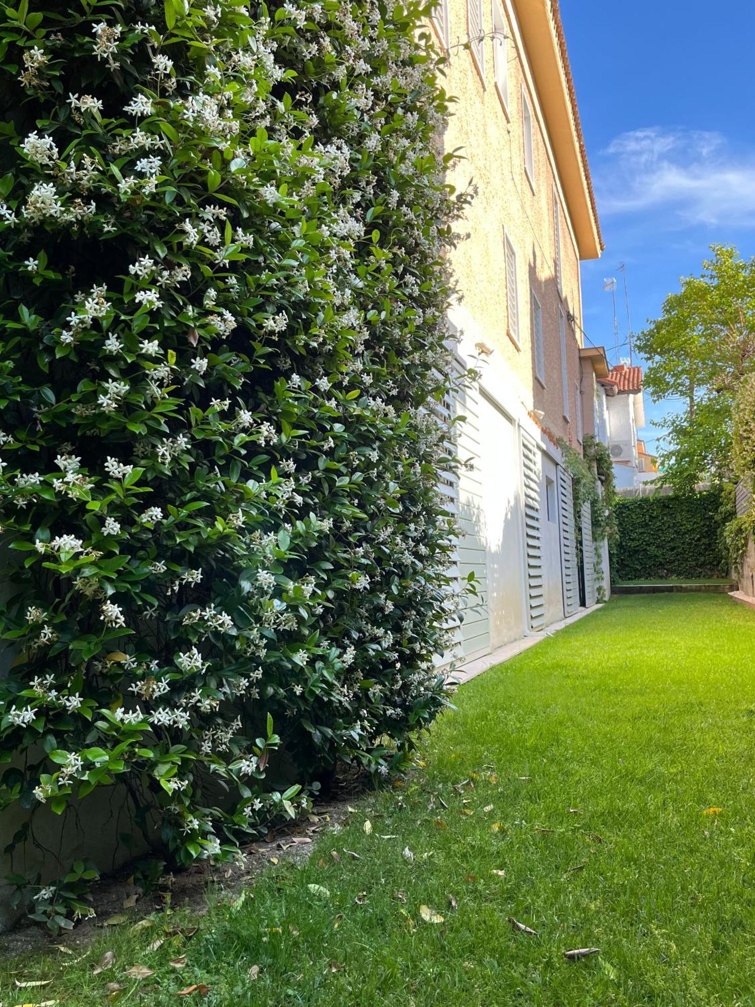 Triana 35 Guest house