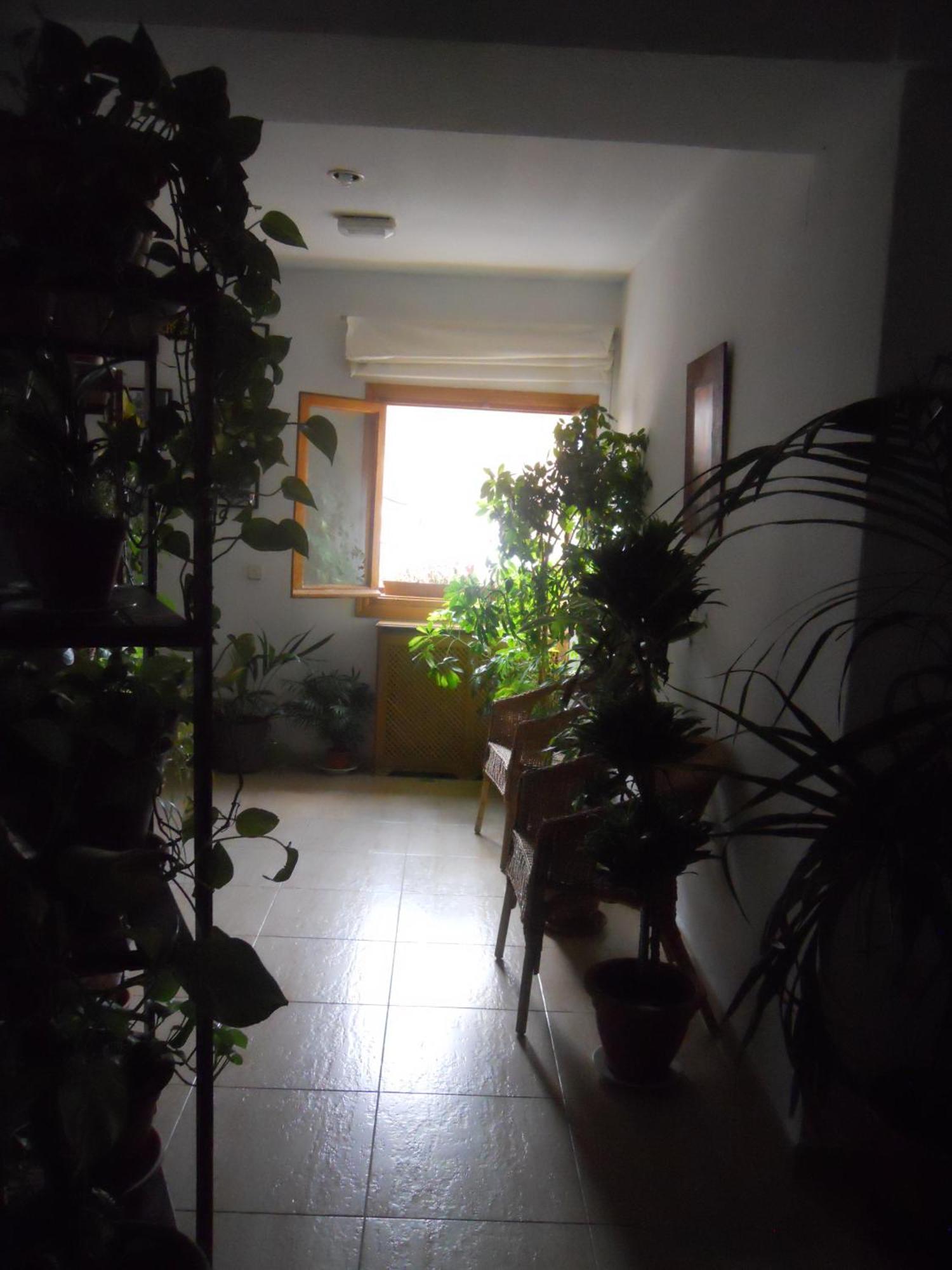 Casa de hóspedes El Descanso