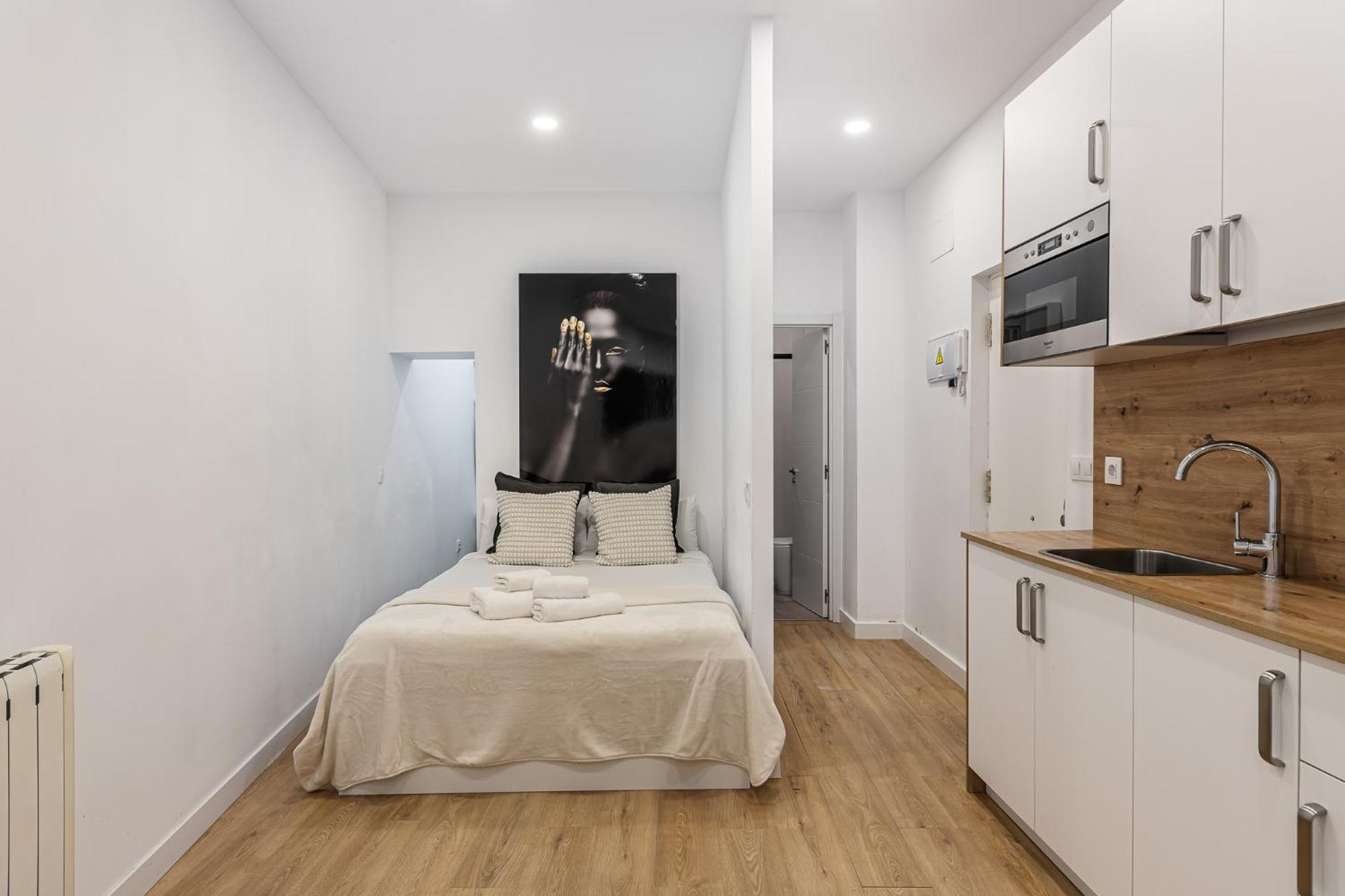 Waou Essence Ii Lavapies - Alquiler Corta Duracion Apartamento Madri