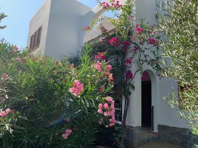 Apartment Maravilloso Apartamento Playa-jardin Botanico In Vera Playa, Almeria Madrid