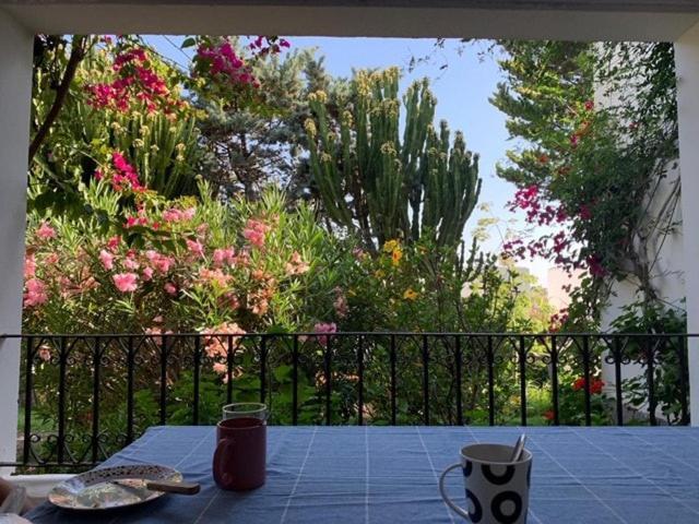 Maravilloso Apartamento Playa-jardin Botanico In Vera Playa, Almeria