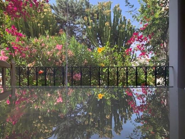 Maravilloso Apartamento Playa-jardin Botanico In Vera Playa, Almeria Apartment *