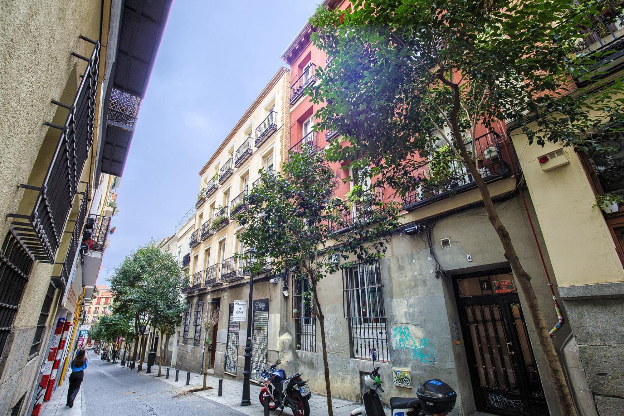 Intimo Estudio En Madrid, Centro, 2pax, Wifi & Tv Apartment *