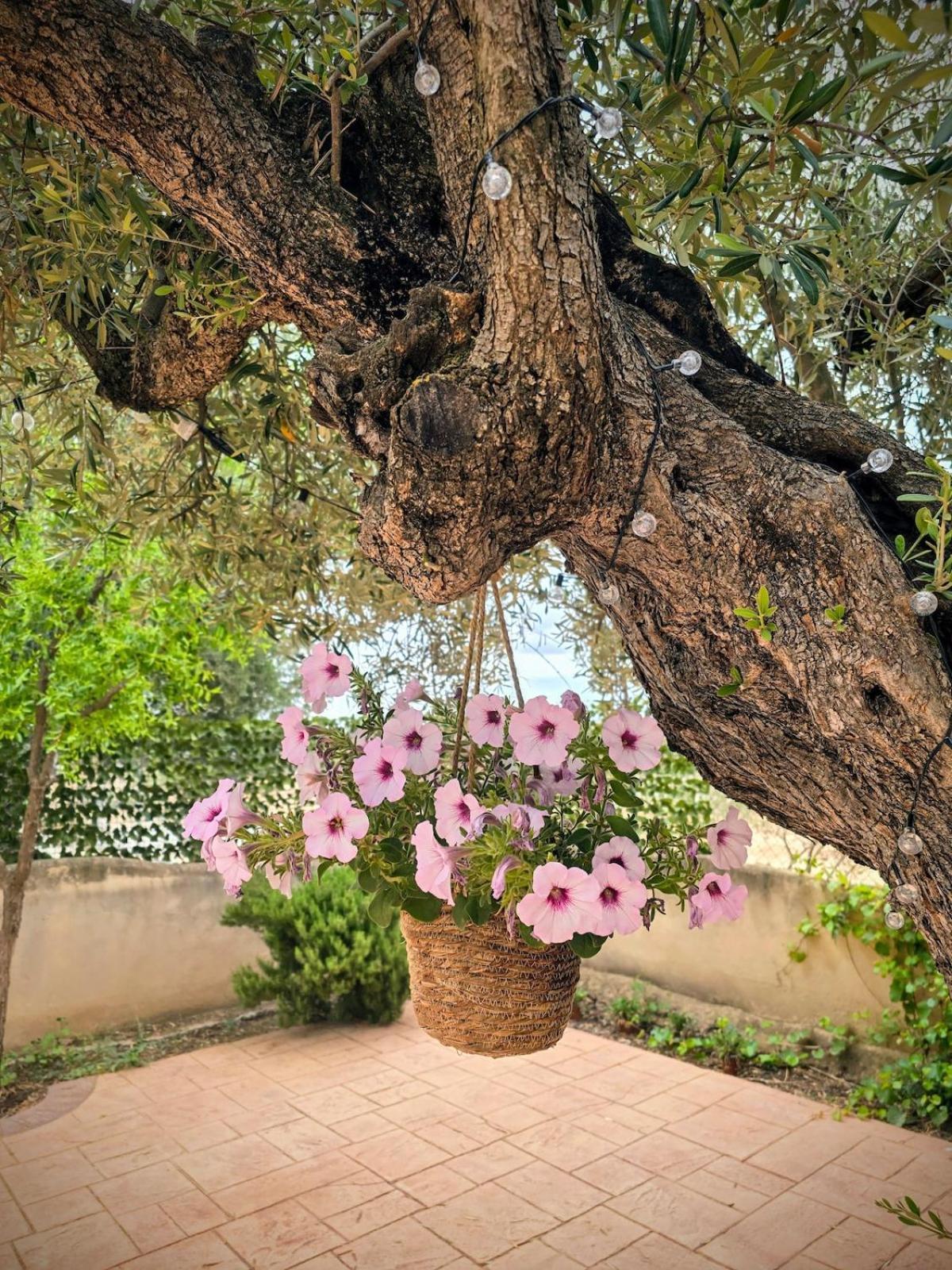 Casa de férias La Charquita Del Pato Andres