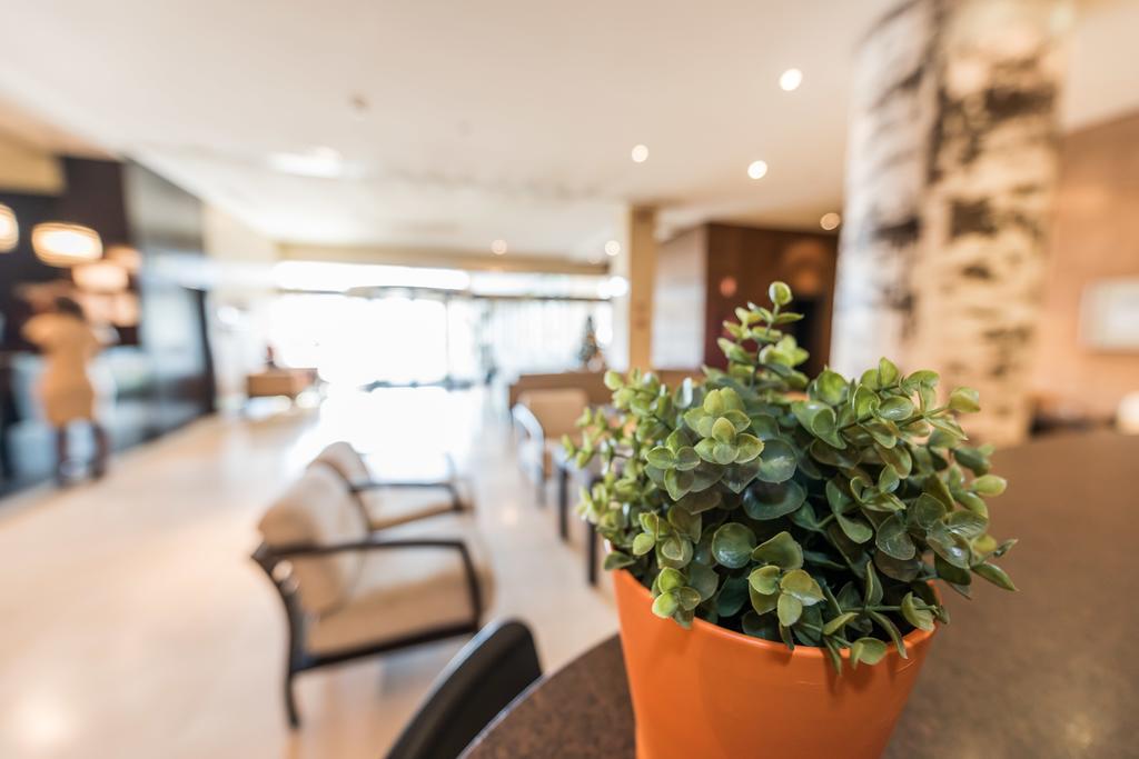 Hotel Mercader Madrid