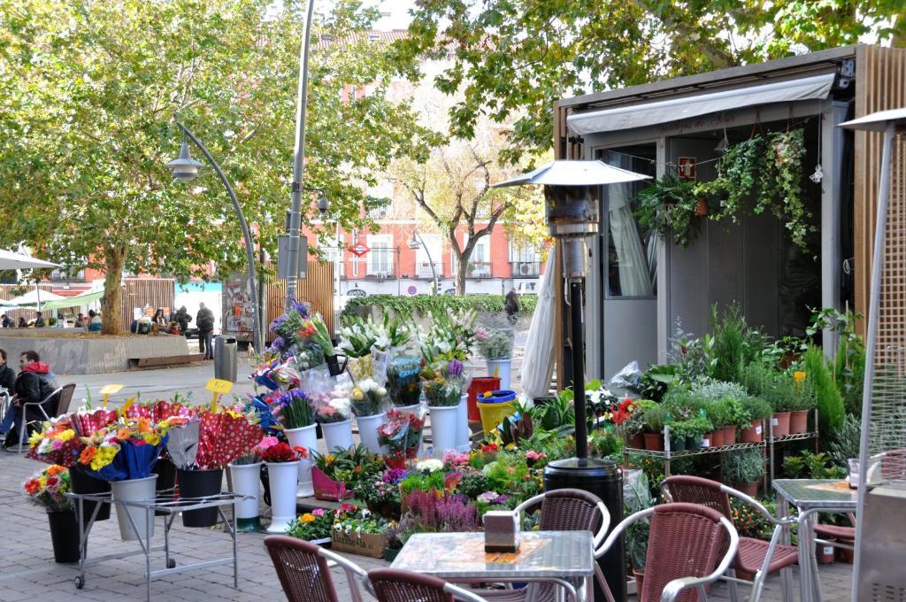 Far Plaza Mayor Vandrerhjem