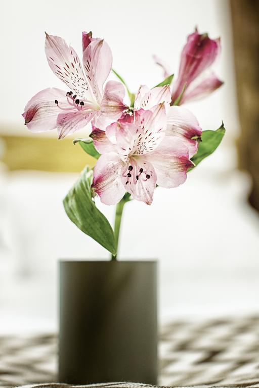 Jardines Boutique Madri