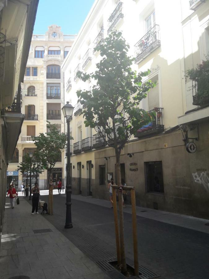 New Go Madrid