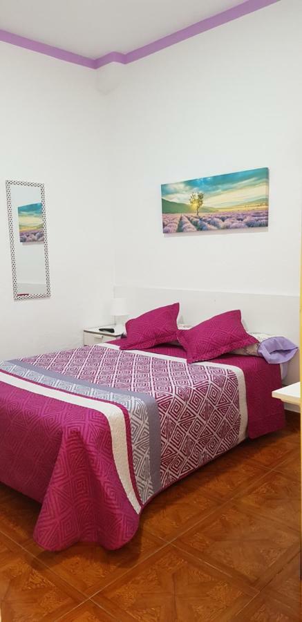 Loyola Gasthof Madrid