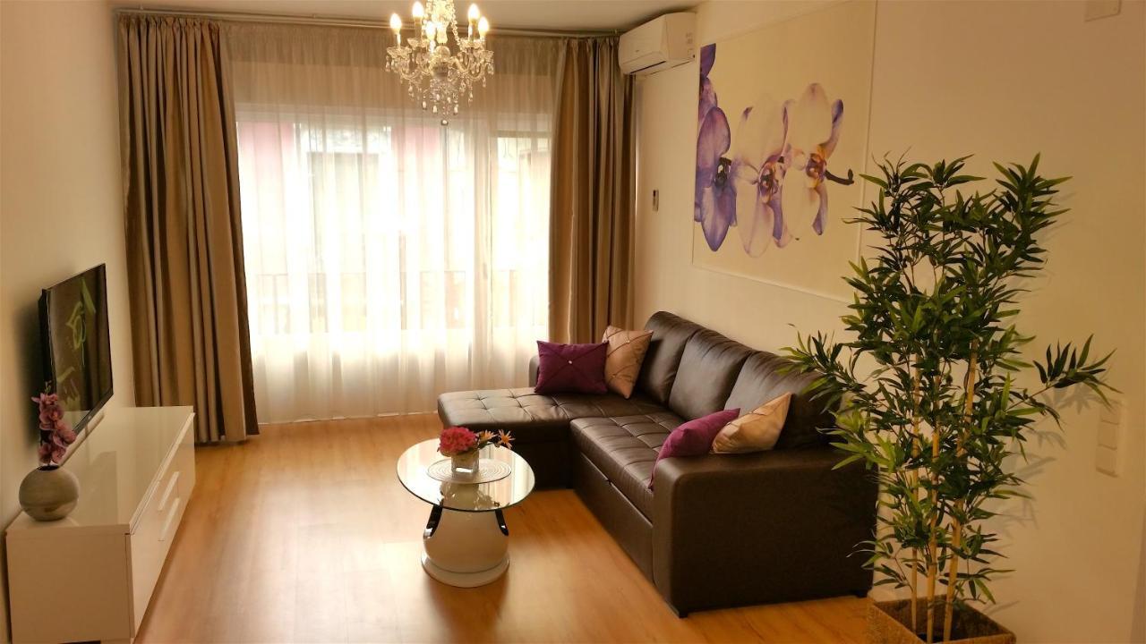 Apartment Palacio