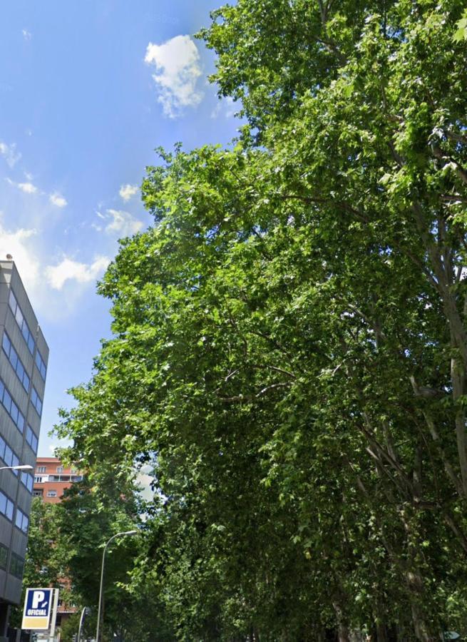 Apartment Bernabeu, Luxury Y Luminoso Entero Madrid