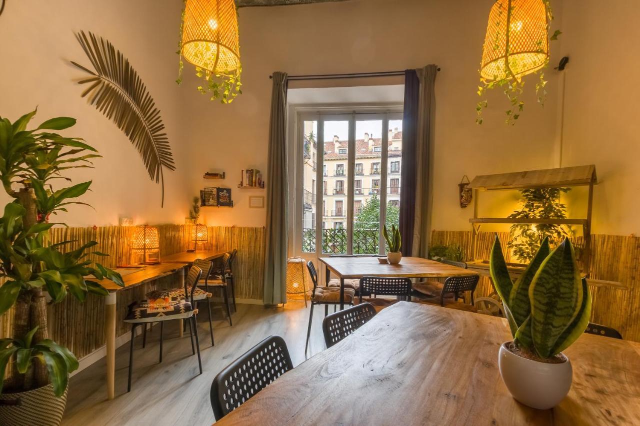 Vandrerhjem Social - Coworking - Madrid