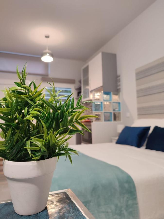 Apartment Estudio Norte 2