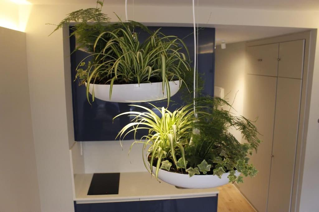 Por Temporada Centro Diseno Apartment Madrid