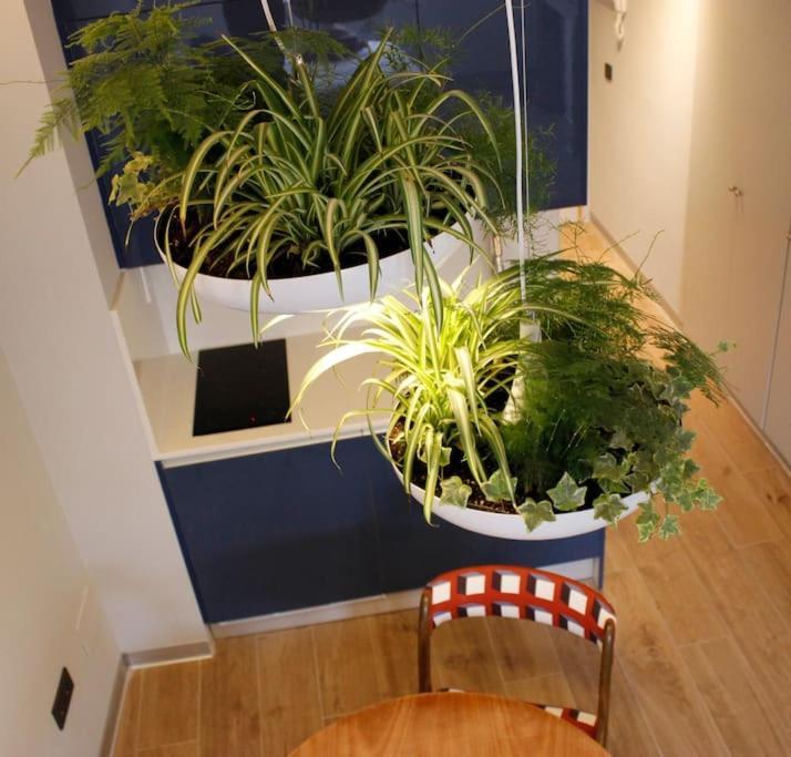 Por Temporada Centro Diseno Apartment Madrid
