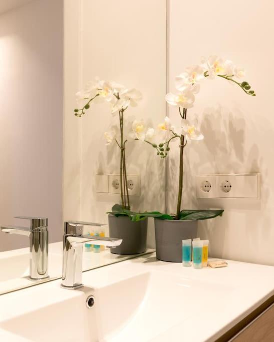Amazing Apartment! Quiet And Bright, Madrid. Apartment Madrid
