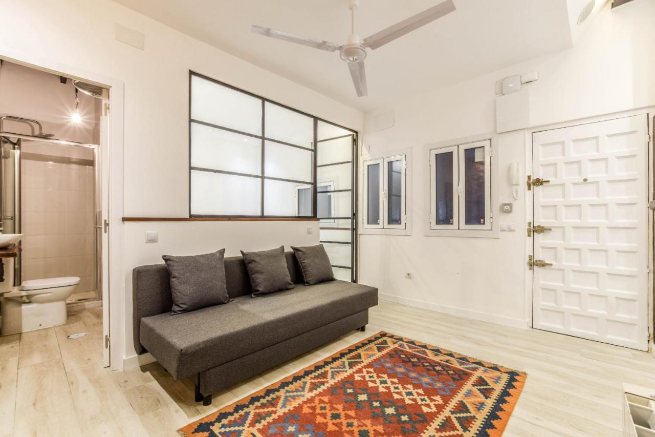 Apartamento Reformado En Lavapies