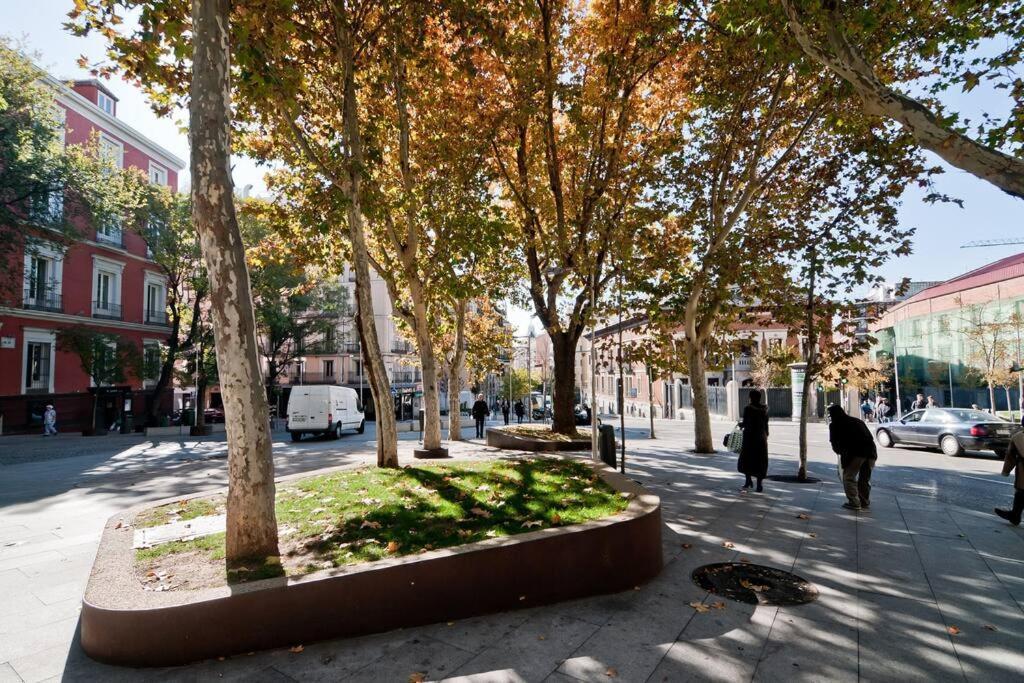 Hortaleza 72 Buhardilla En Chueca Apartment Madrid