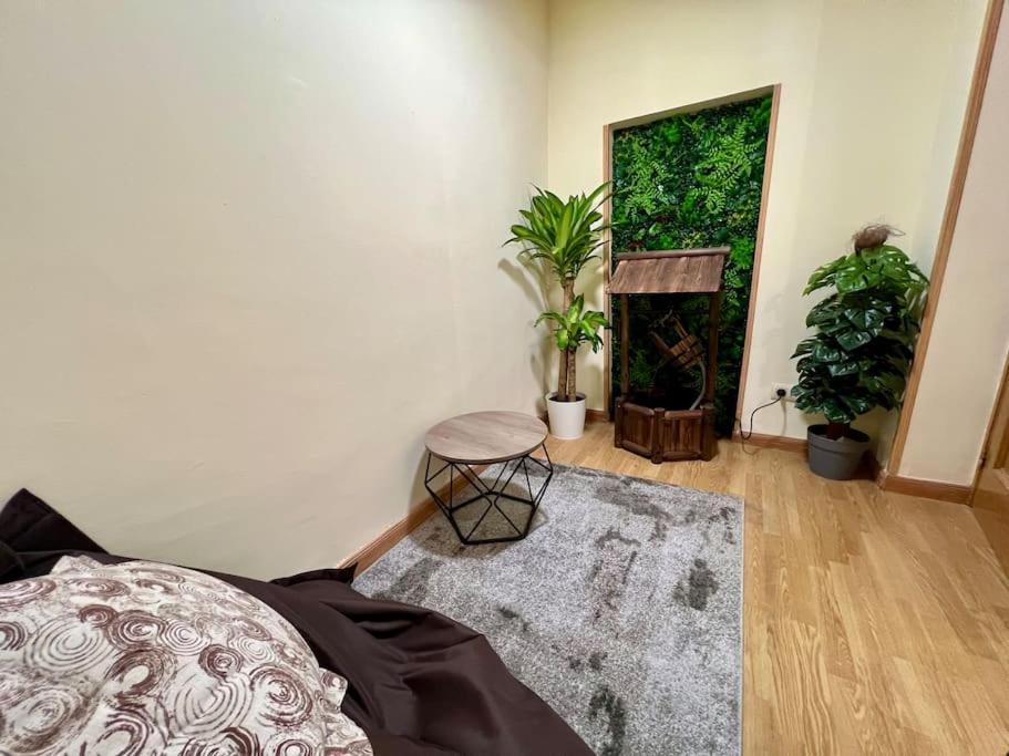 Acogedor Apartamento Centro Apartment Madrid