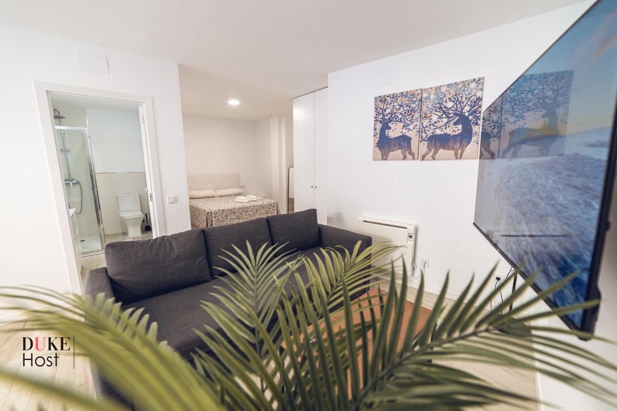 Apartment Castellana Norte Ml8-2 *