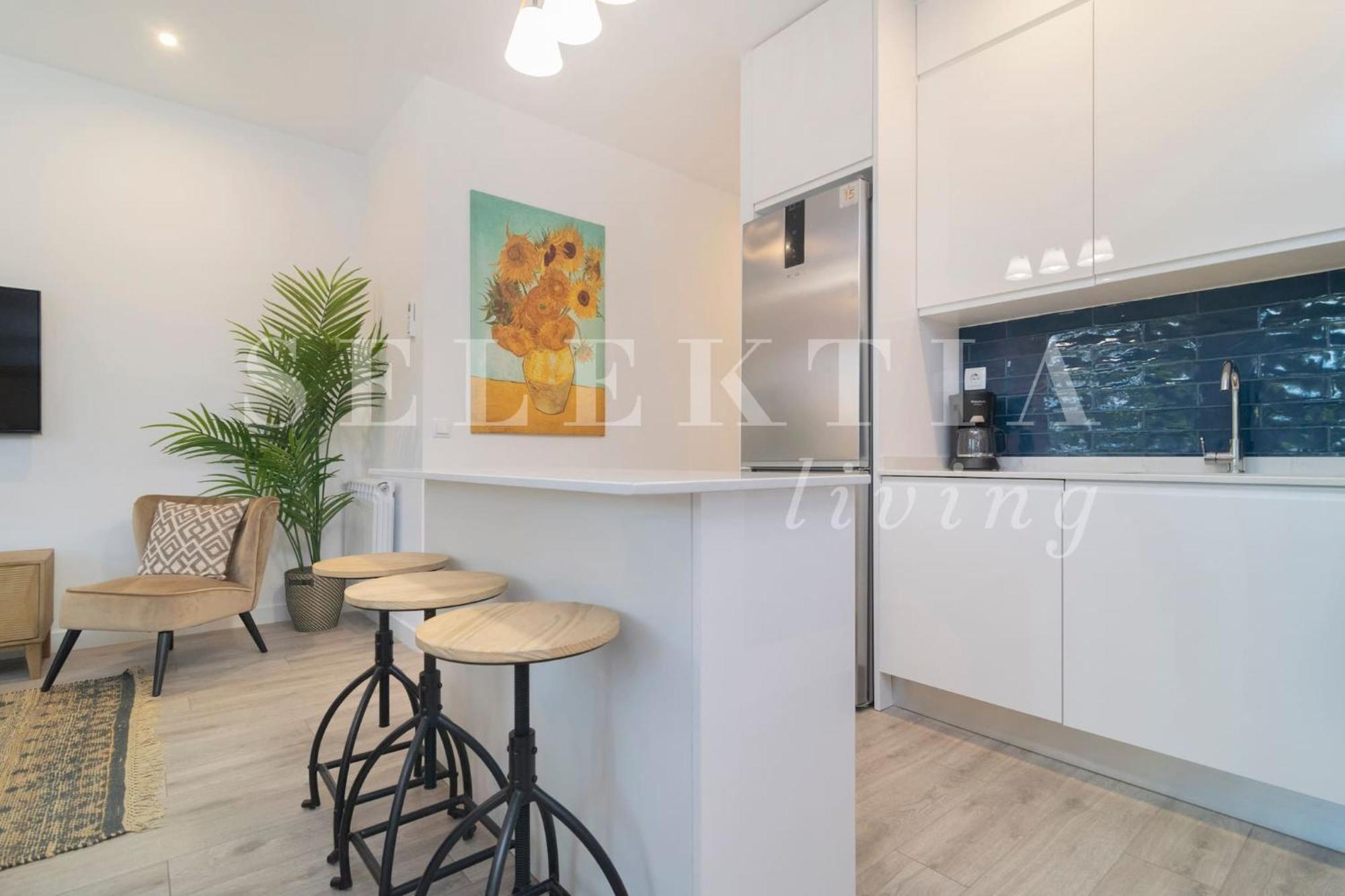 Castellana Apartment *