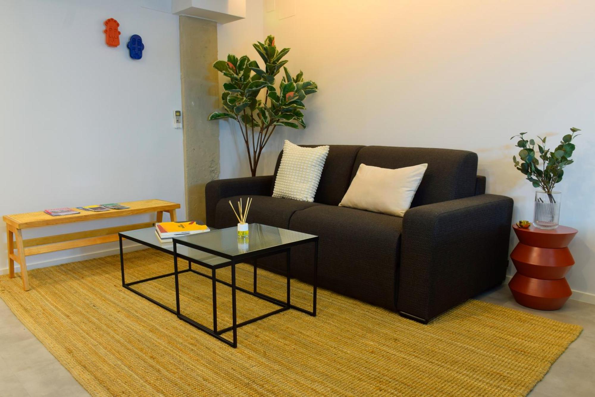 Apartment Global Homes_calle Alcala Madrid
