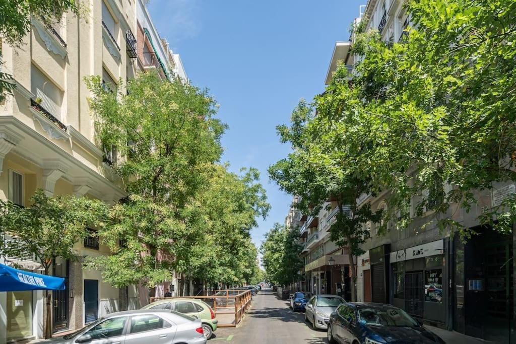 Stylish 1 Bedroom In Barrio Salamanca Apartment *