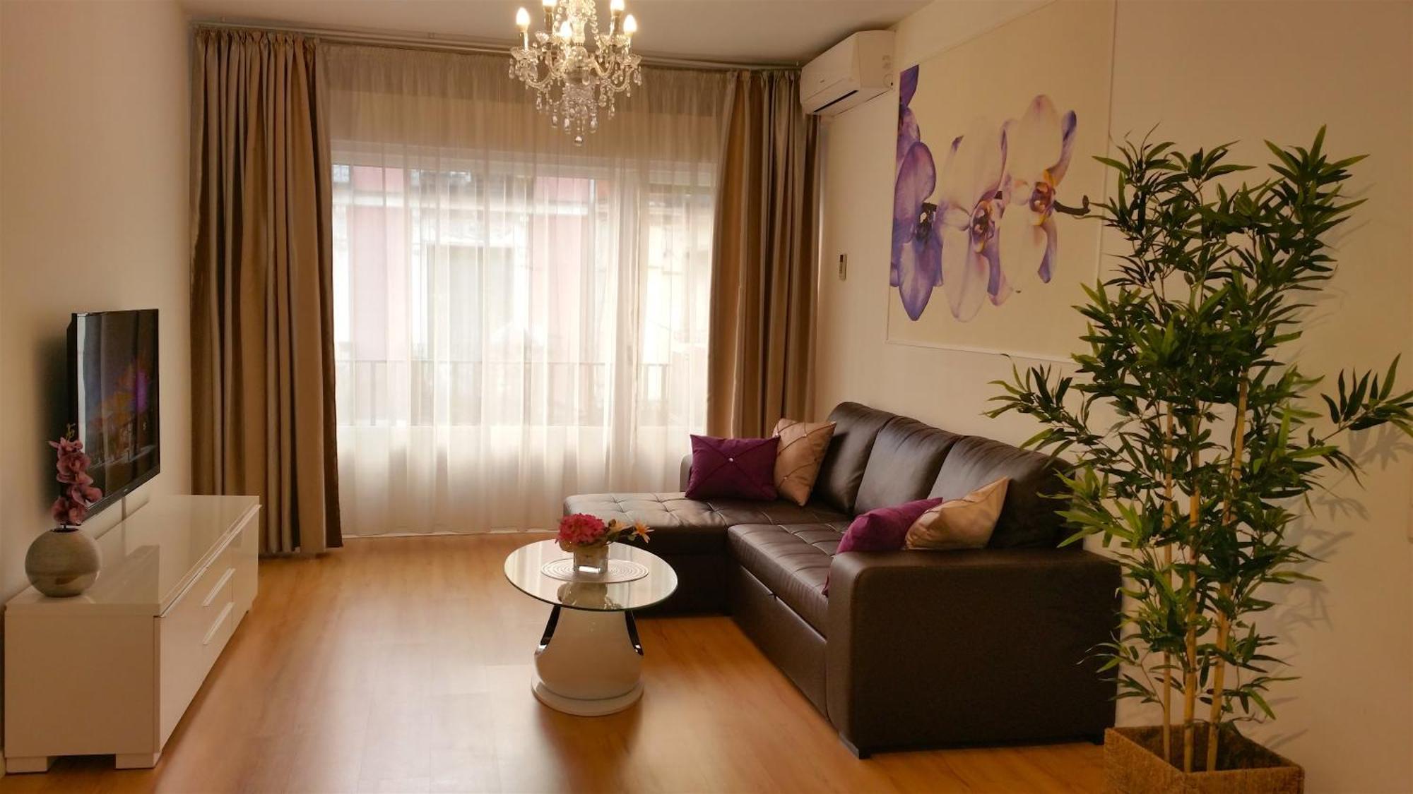 Apartment Palacio *
