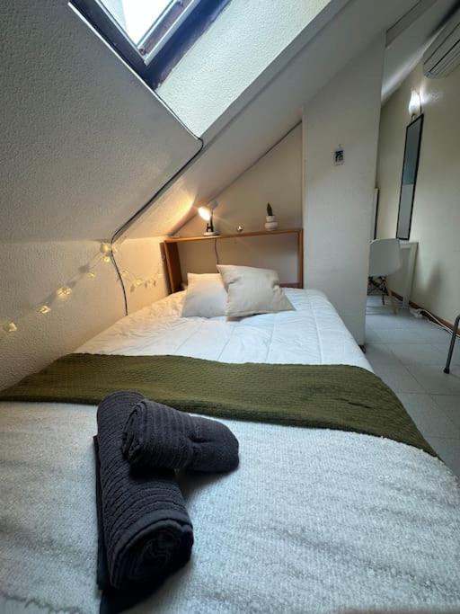 Apartment Cozy In Center