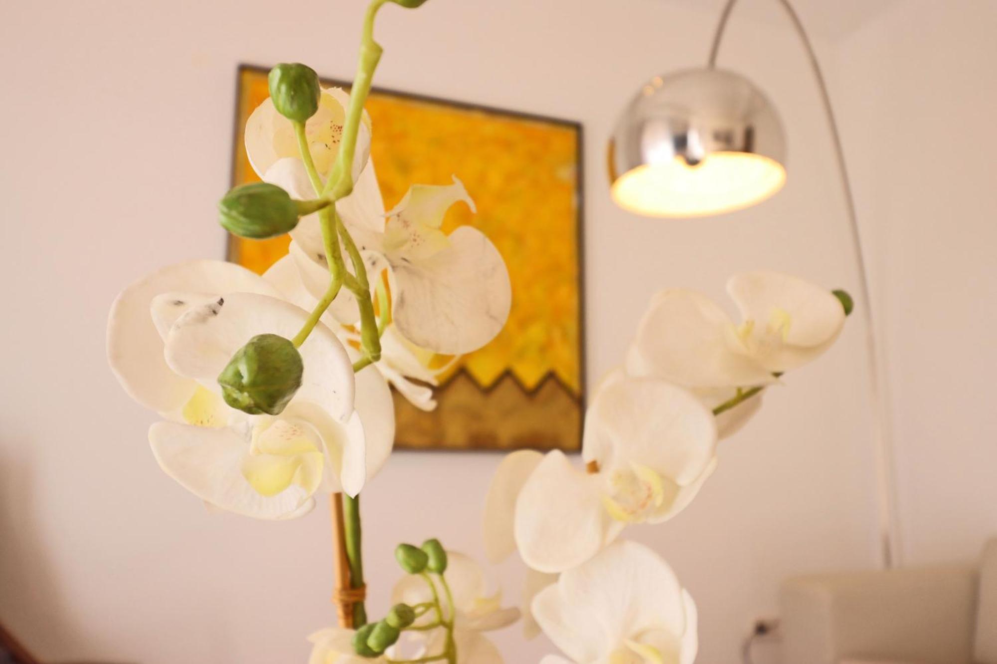 House Of Arts - Justicia Apartment