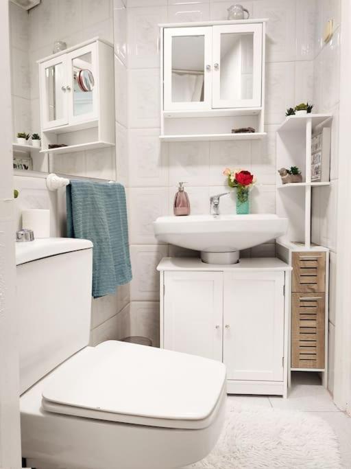 Apartment Estudio Madrid