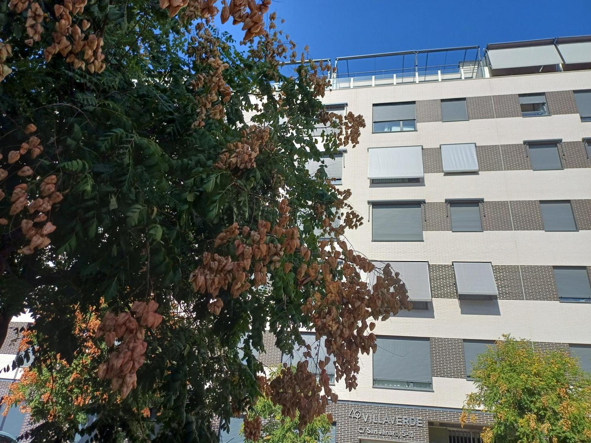 Guest house Estudios Nuevos Centro