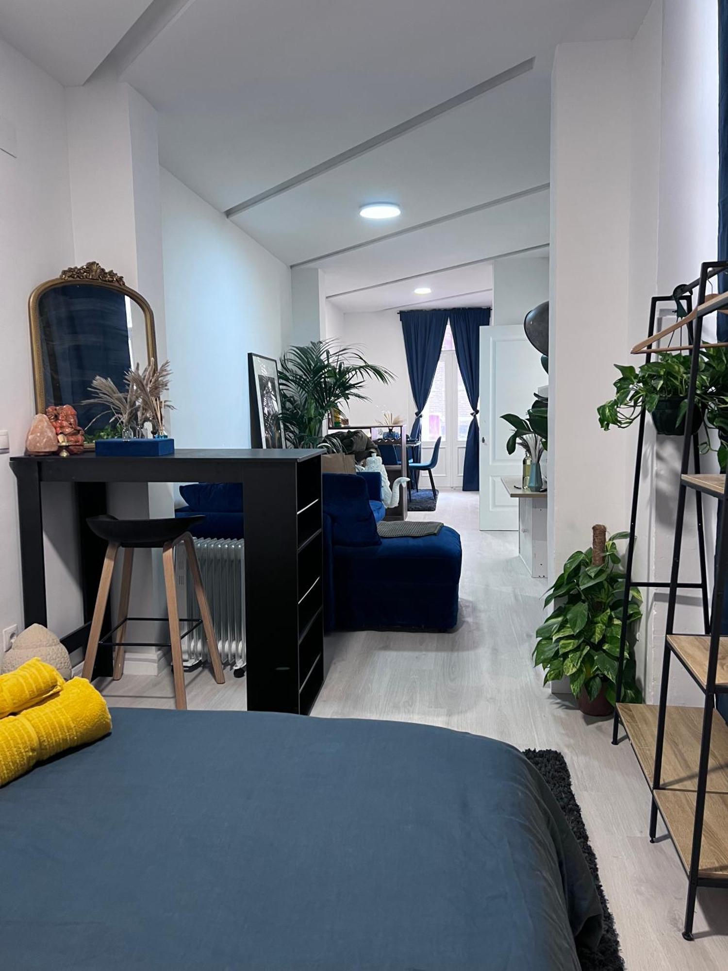 Apartment Casa Sana Corazon - Barrio Salamanca Madrid