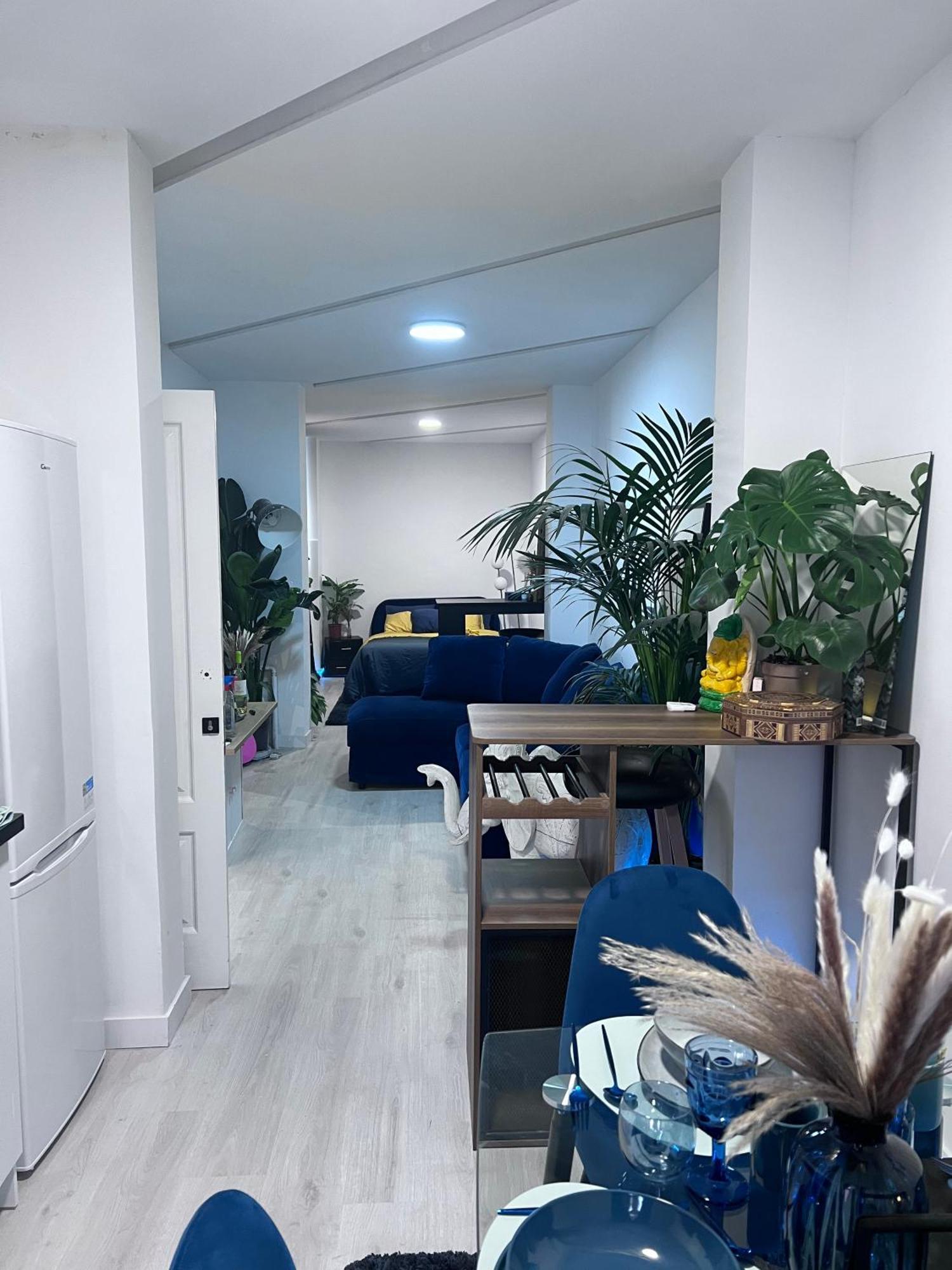Apartment Casa Sana Corazon - Barrio Salamanca