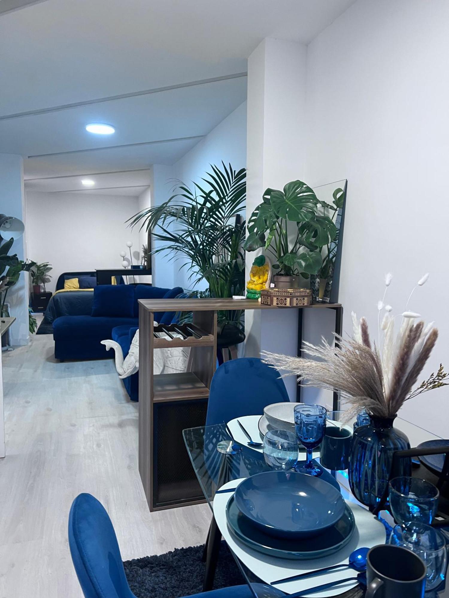 Casa Sana Corazon - Barrio Salamanca Apartment