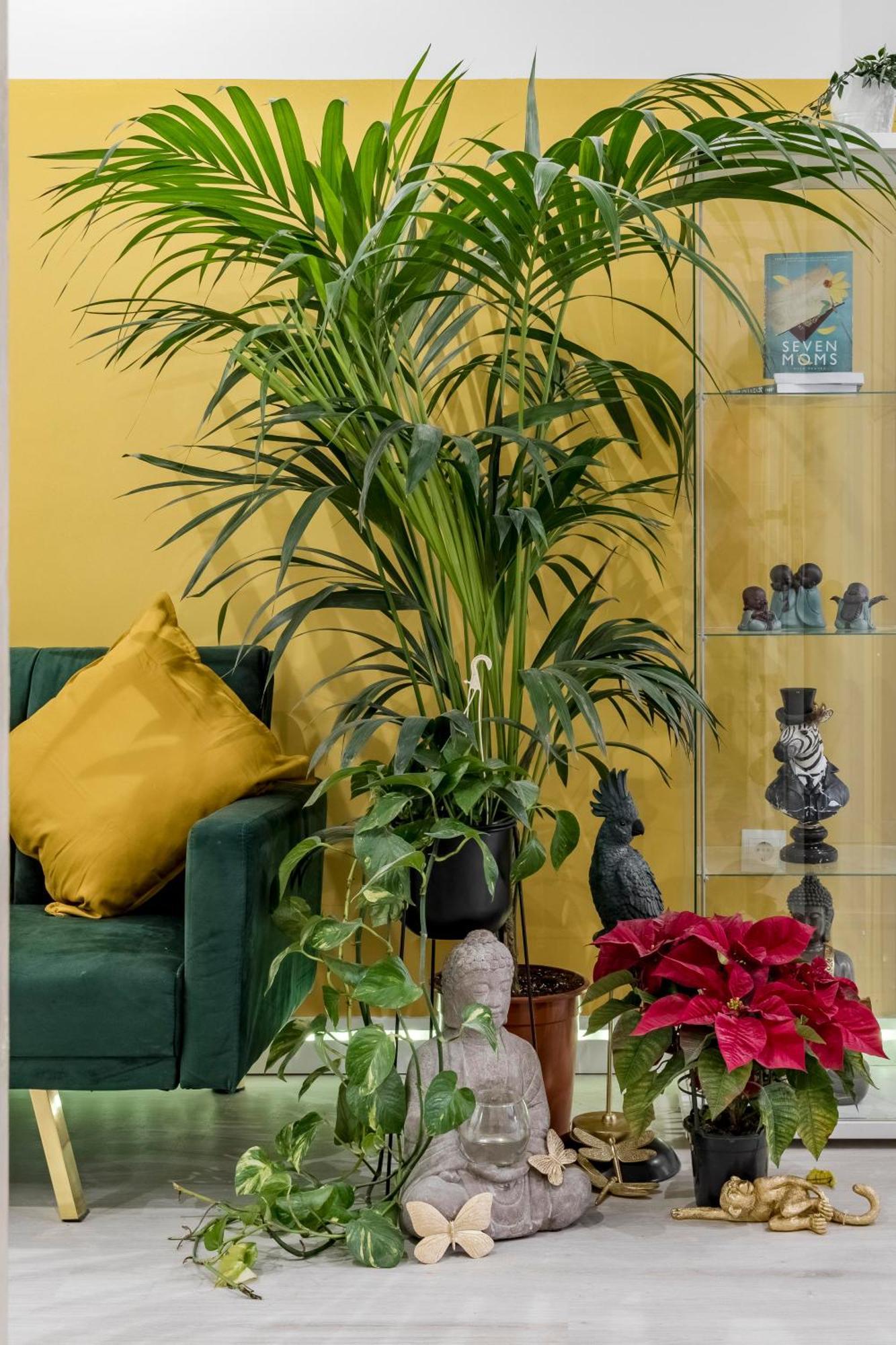 Casa Sana Corazon - Barrio Salamanca Apartment