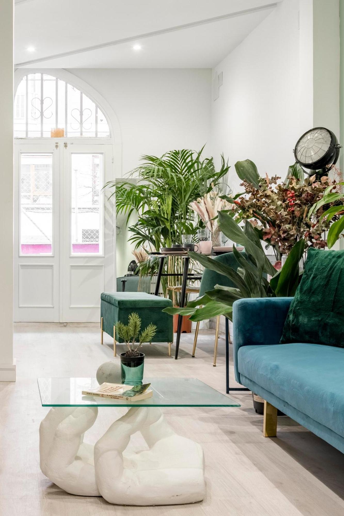 Apartment Casa Sana Corazon - Barrio Salamanca Madrid
