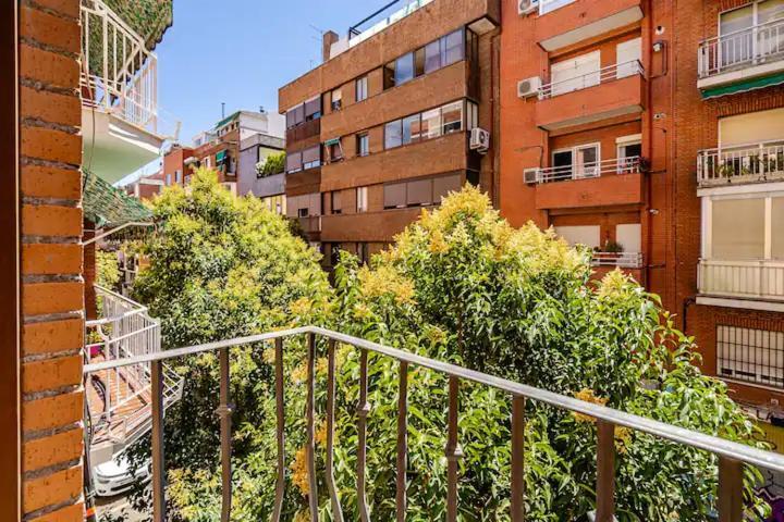 Acogedor, Luminoso Y Centrico Madrid