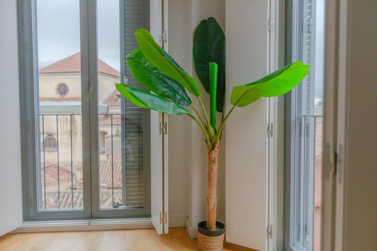 Cozy Modern In Madri