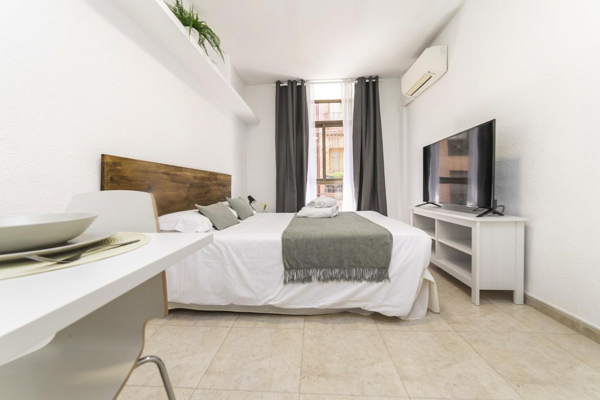 Apartamento Classy Iv - Ferga Madri