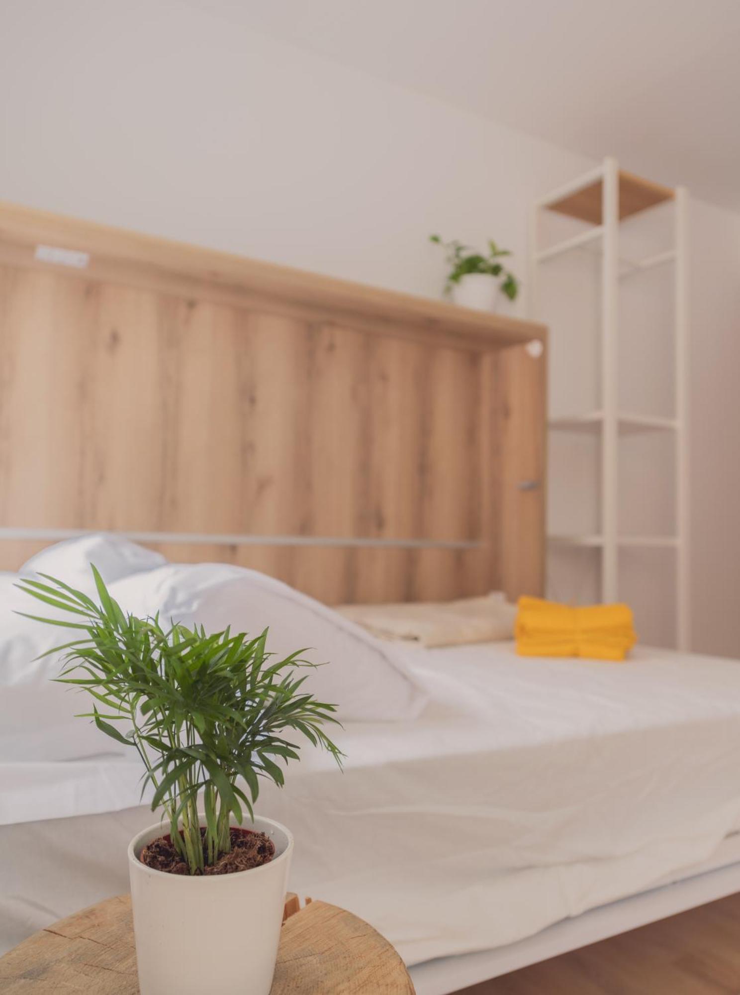 Apartment Wood 5 *