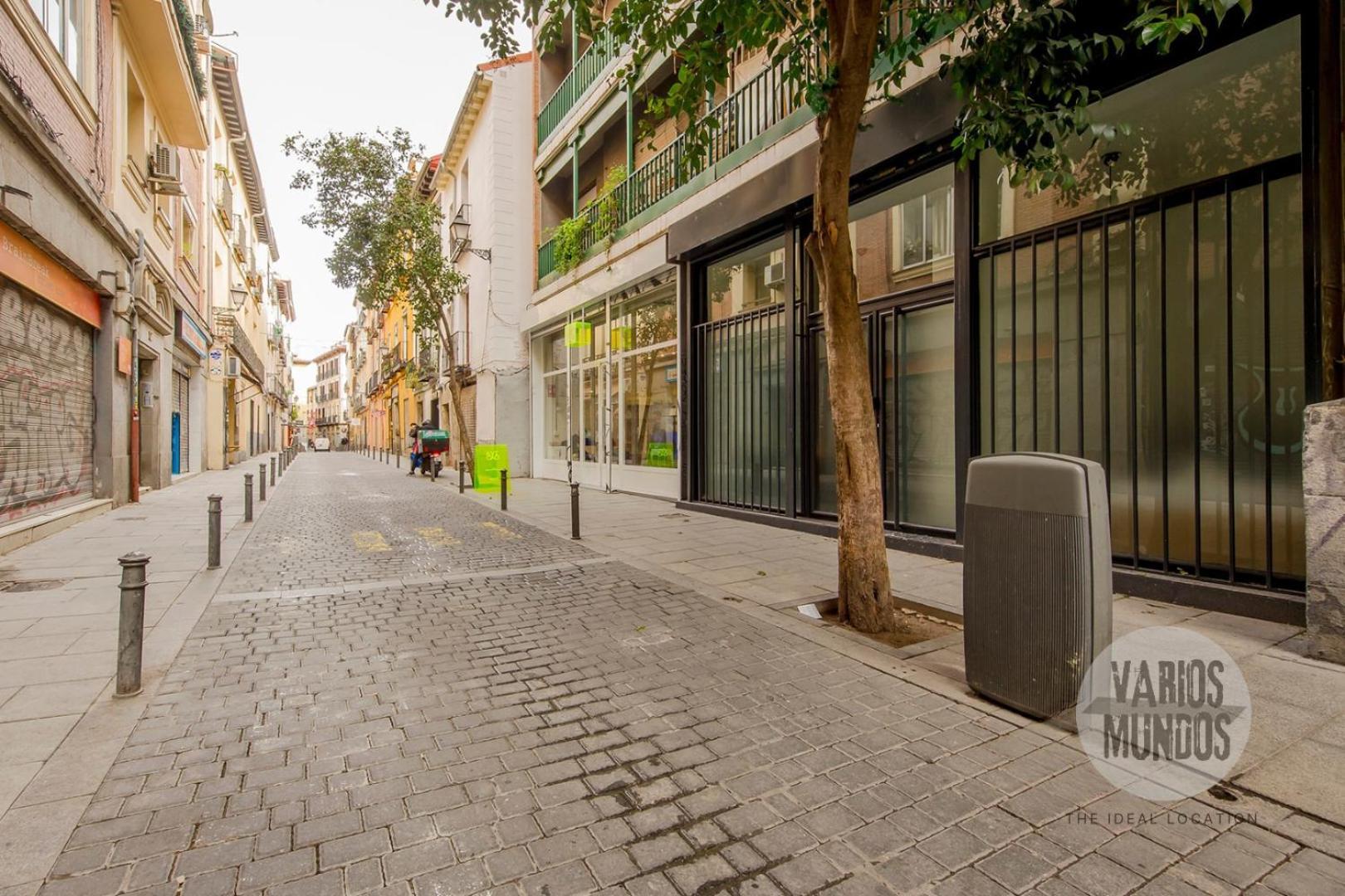 Apartamento 9 En La Latina, Calle Encomienda Madrid